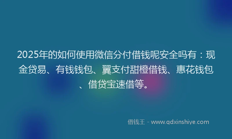 2025年的如何使用微信分付借钱呢安全吗有：现金贷易、有钱钱包、翼支付甜橙借钱、惠花钱包、借贷宝速借等。