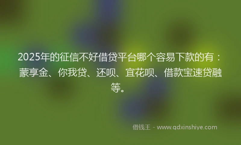 2025年的征信不好借贷平台哪个容易下款的有：蒙享金、你我贷、还呗、宜花呗、借款宝速贷融等。