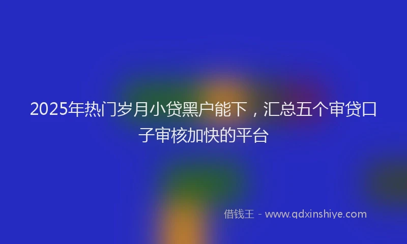 2025年热门岁月小贷黑户能下，汇总五个审贷口子审核加快的平台