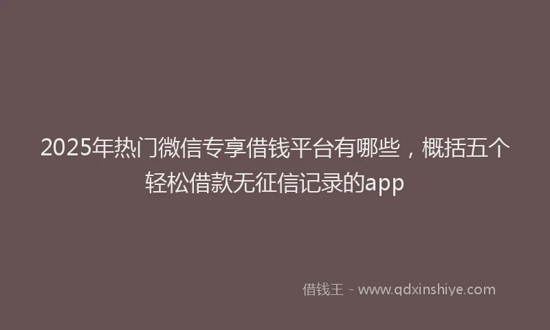 2025年热门微信专享借钱平台有哪些，概括五个轻松借款无征信记录的app