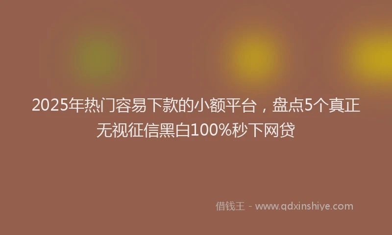 2025年热门容易下款的小额平台，盘点5个真正无视征信黑白100%秒下网贷