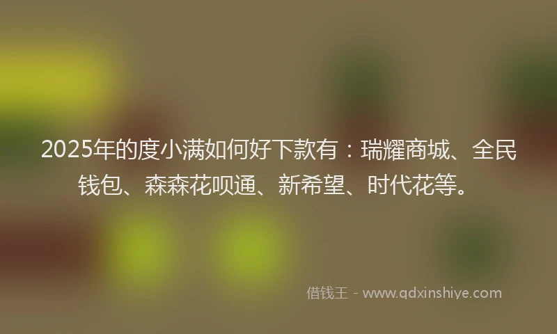 2025年的度小满如何好下款有：瑞耀商城、全民钱包、森森花呗通、新希望、时代花等。