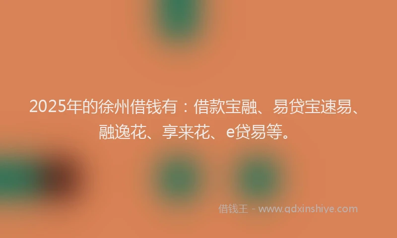 2025年的徐州借钱有：借款宝融、易贷宝速易、融逸花、享来花、e贷易等。