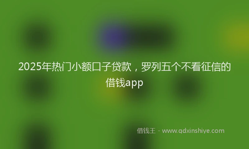 2025年热门小额口子贷款，罗列五个不看征信的借钱app