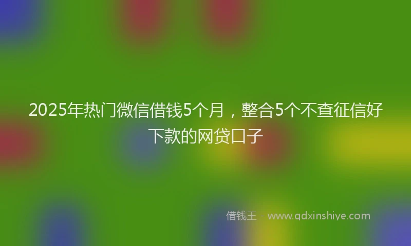 2025年热门微信借钱5个月，整合5个不查征信好下款的网贷口子