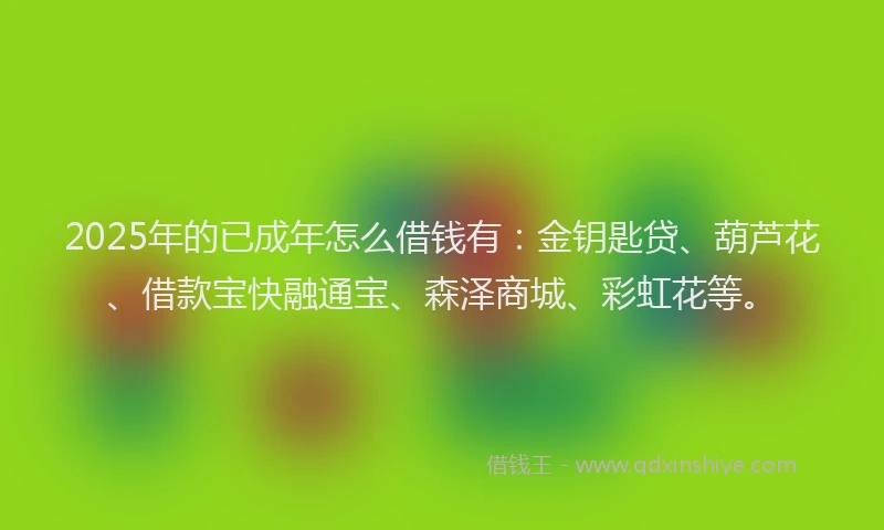2025年的已成年怎么借钱有：金钥匙贷、葫芦花、借款宝快融通宝、森泽商城、彩虹花等。