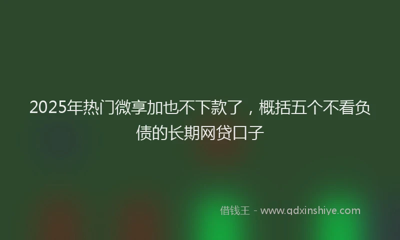 2025年热门微享加也不下款了，概括五个不看负债的长期网贷口子