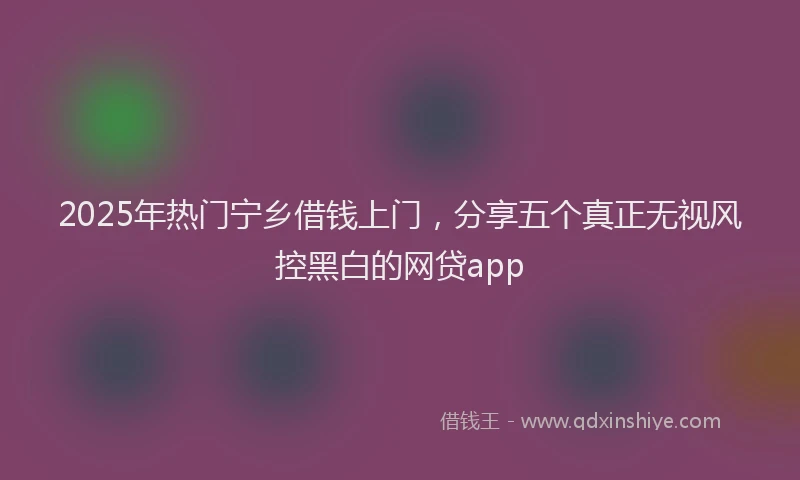 2025年热门宁乡借钱上门，分享五个真正无视风控黑白的网贷app