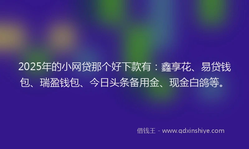 2025年的小网贷那个好下款有：鑫享花、易贷钱包、瑞盈钱包、今日头条备用金、现金白鸽等。