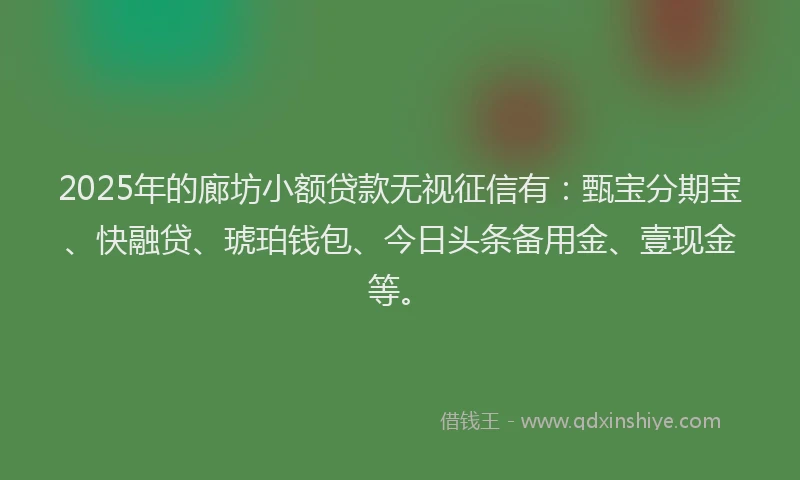 2025年的廊坊小额贷款无视征信有：甄宝分期宝、快融贷、琥珀钱包、今日头条备用金、壹现金等。
