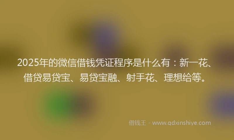2025年的微信借钱凭证程序是什么有：新一花、借贷易贷宝、易贷宝融、射手花、理想给等。