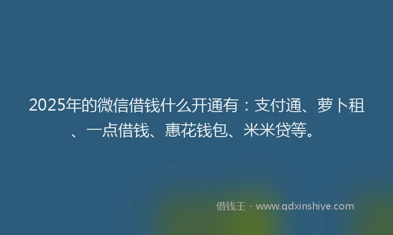 2025年的微信借钱什么开通有：支付通、萝卜租、一点借钱、惠花钱包、米米贷等。