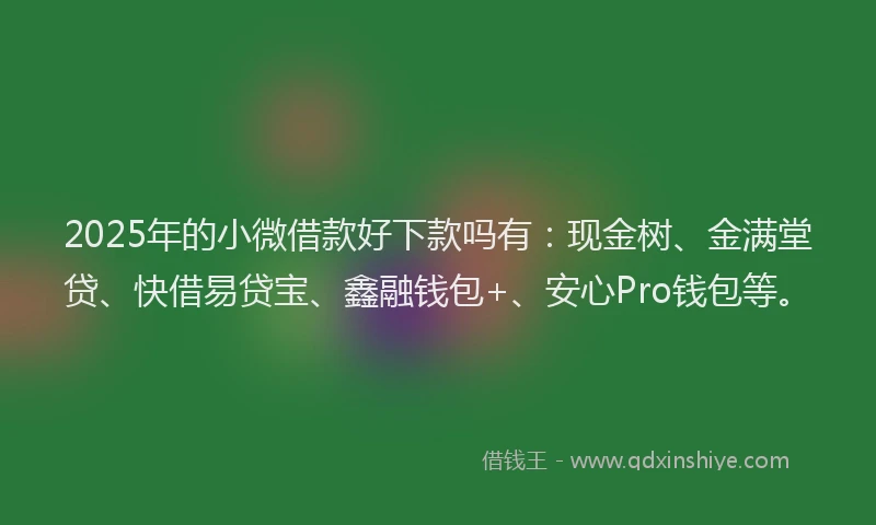 2025年的小微借款好下款吗有：现金树、金满堂贷、快借易贷宝、鑫融钱包+、安心Pro钱包等。