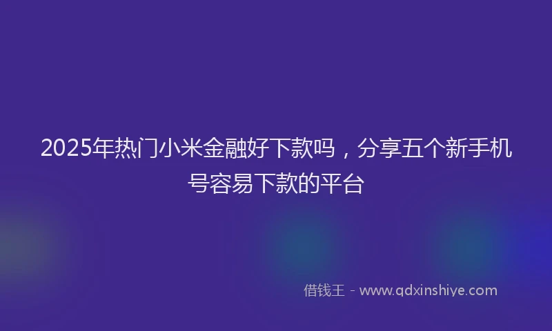 2025年热门小米金融好下款吗，分享五个新手机号容易下款的平台