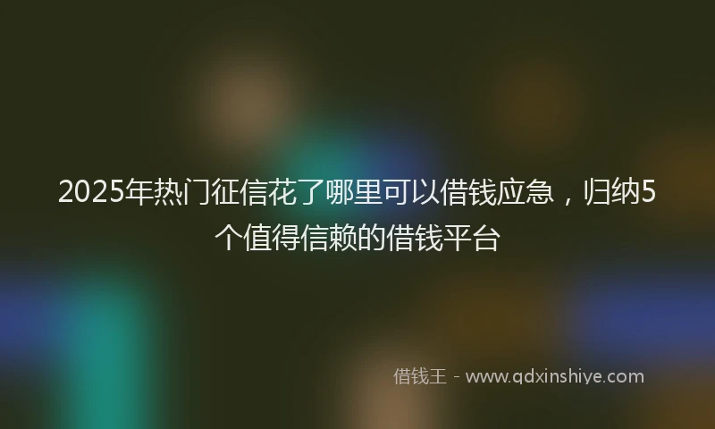 2025年热门征信花了哪里可以借钱应急，归纳5个值得信赖的借钱平台