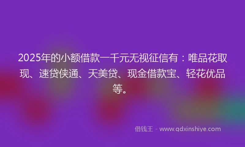 2025年的小额借款一千元无视征信有：唯品花取现、速贷侠通、天美贷、现金借款宝、轻花优品等。