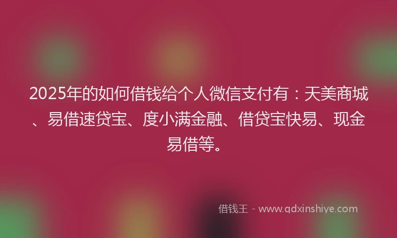 2025年的如何借钱给个人微信支付有：天美商城、易借速贷宝、度小满金融、借贷宝快易、现金易借等。