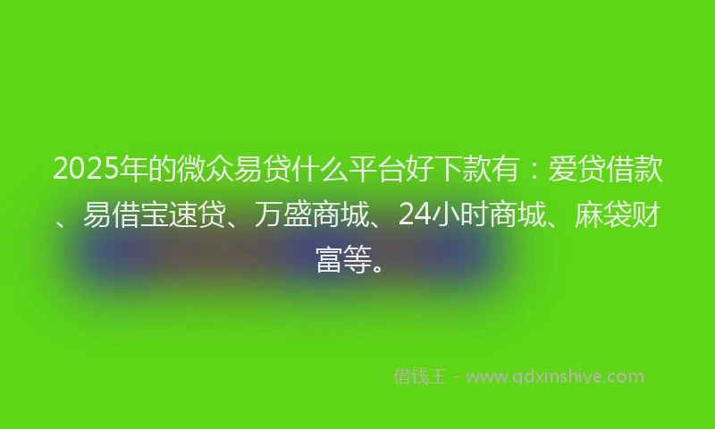 2025年的微众易贷什么平台好下款有：爱贷借款、易借宝速贷、万盛商城、24小时商城、麻袋财富等。