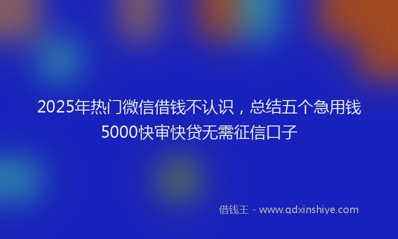 2025年热门微信借钱不认识，总结五个急用钱5000快审快贷无需征信口子