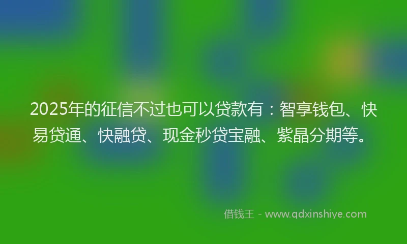 2025年的征信不过也可以贷款有：智享钱包、快易贷通、快融贷、现金秒贷宝融、紫晶分期等。