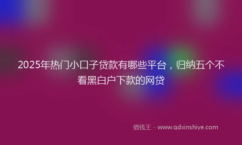 2025年热门小口子贷款有哪些平台，归纳五个不看黑白户下款的网贷
