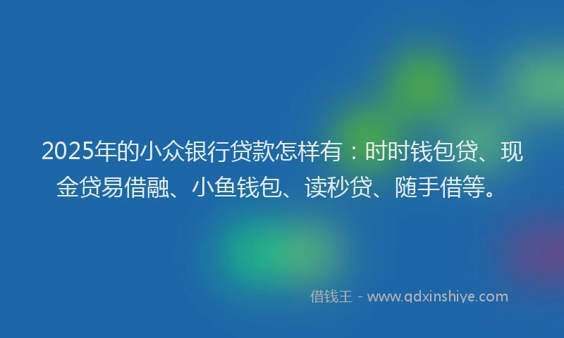 2025年的小众银行贷款怎样有：时时钱包贷、现金贷易借融、小鱼钱包、读秒贷、随手借等。