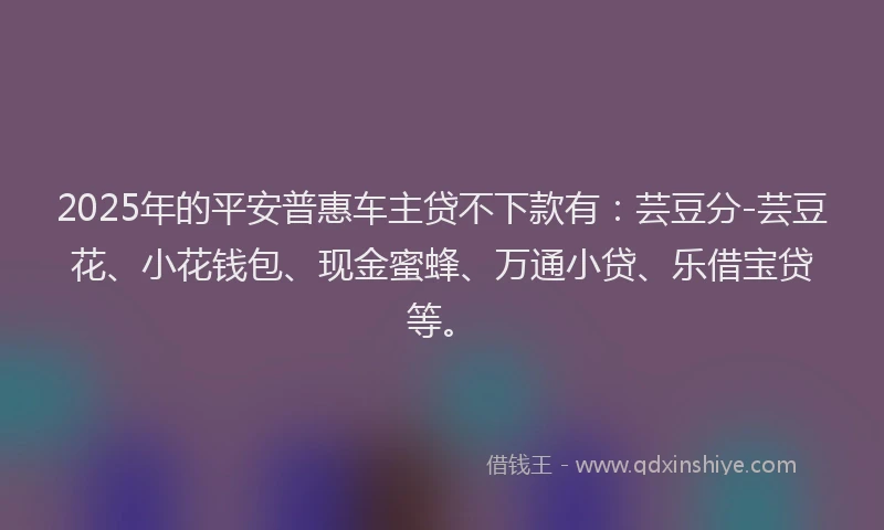2025年的平安普惠车主贷不下款有：芸豆分-芸豆花、小花钱包、现金蜜蜂、万通小贷、乐借宝贷等。