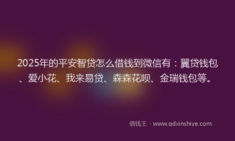 2025年的平安智贷怎么借钱到微信有：翼贷钱包、爱小花、我来易贷、森森花呗、金瑞钱包等。