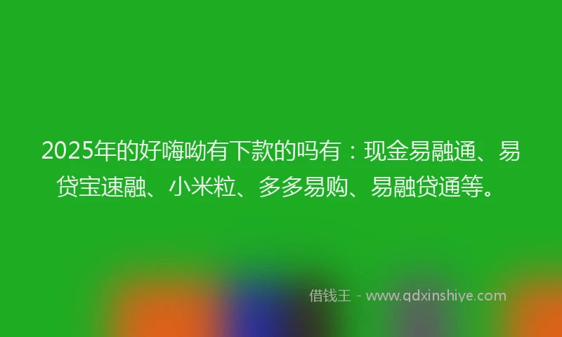 2025年的好嗨呦有下款的吗有：现金易融通、易贷宝速融、小米粒、多多易购、易融贷通等。