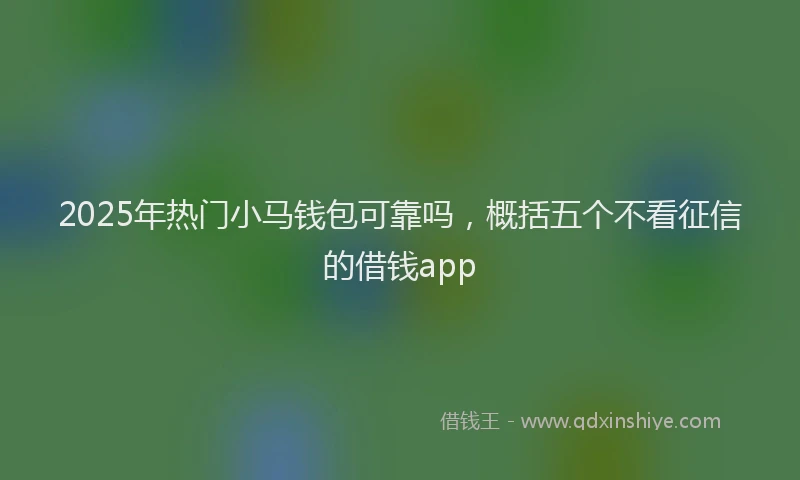 2025年热门小马钱包可靠吗，概括五个不看征信的借钱app