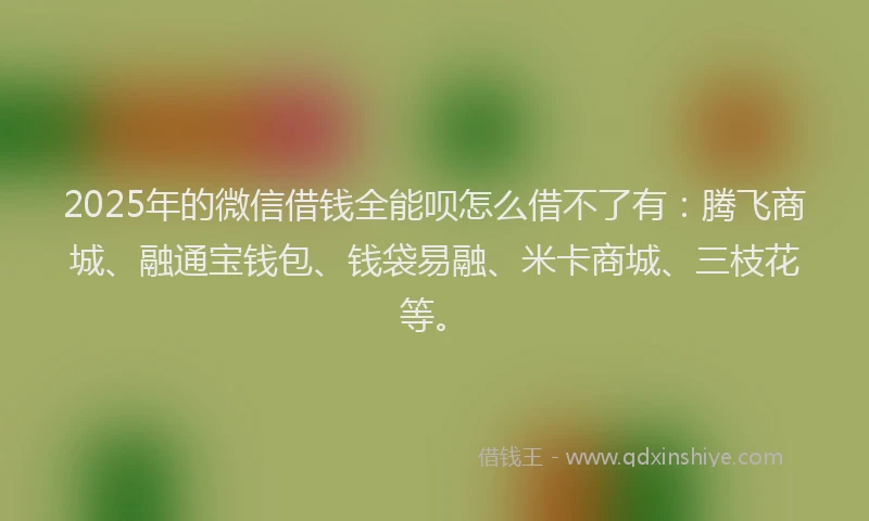 2025年的微信借钱全能呗怎么借不了有：腾飞商城、融通宝钱包、钱袋易融、米卡商城、三枝花等。