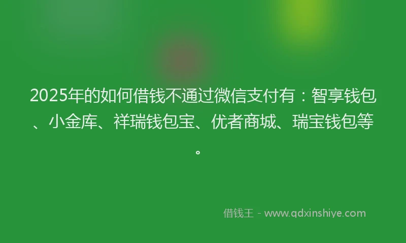 2025年的如何借钱不通过微信支付有：智享钱包、小金库、祥瑞钱包宝、优者商城、瑞宝钱包等。