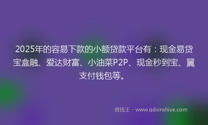 2025年的容易下款的小额贷款平台有：现金易贷宝盒融、爱达财富、小油菜P2P、现金秒到宝、翼支付钱包等。