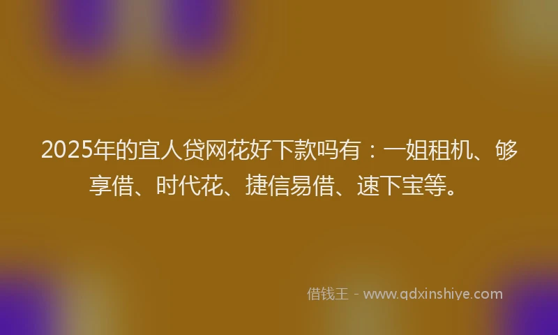 2025年的宜人贷网花好下款吗有：一姐租机、够享借、时代花、捷信易借、速下宝等。