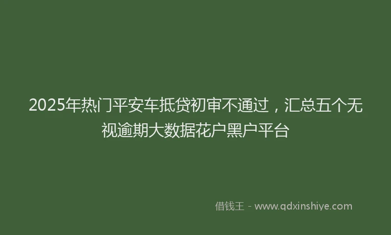 2025年热门平安车抵贷初审不通过，汇总五个无视逾期大数据花户黑户平台