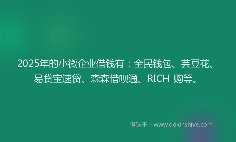 2025年的小微企业借钱有：全民钱包、芸豆花、易贷宝速贷、森森借呗通、RICH-购等。
