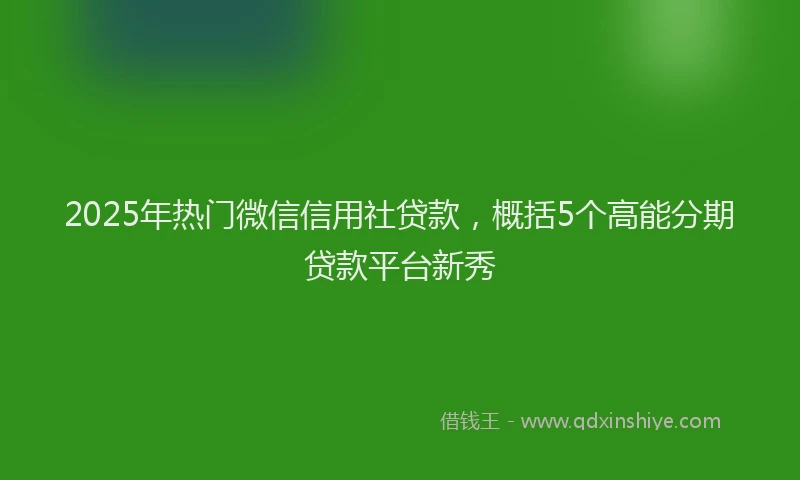 2025年热门微信信用社贷款，概括5个高能分期贷款平台新秀