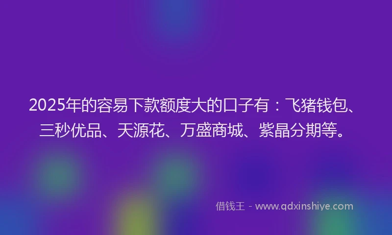 2025年的容易下款额度大的口子有：飞猪钱包、三秒优品、天源花、万盛商城、紫晶分期等。