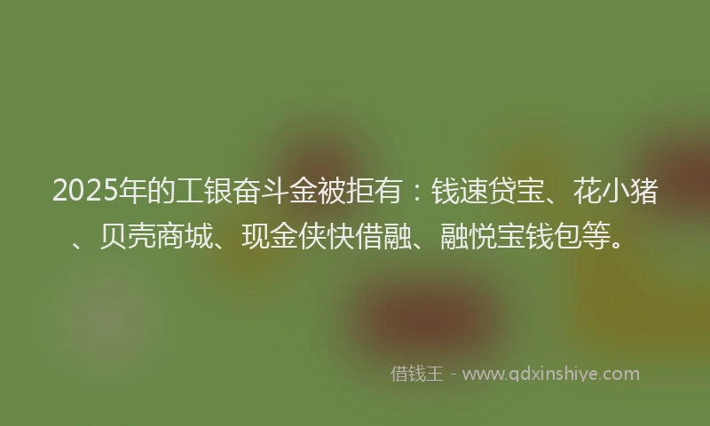 2025年的工银奋斗金被拒有：钱速贷宝、花小猪、贝壳商城、现金侠快借融、融悦宝钱包等。