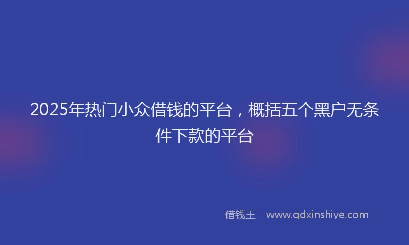 2025年热门小众借钱的平台，概括五个黑户无条件下款的平台