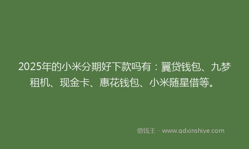 2025年的小米分期好下款吗有：翼贷钱包、九梦租机、现金卡、惠花钱包、小米随星借等。