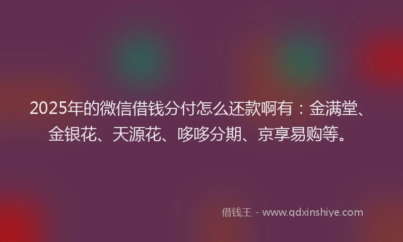 2025年的微信借钱分付怎么还款啊有：金满堂、金银花、天源花、哆哆分期、京享易购等。