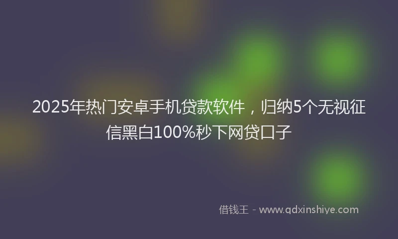 2025年热门安卓手机贷款软件，归纳5个无视征信黑白100%秒下网贷口子