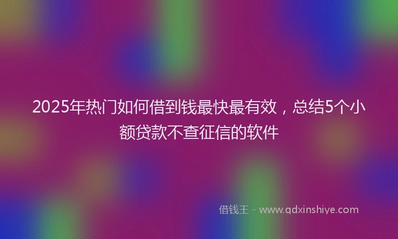 2025年热门如何借到钱最快最有效，总结5个小额贷款不查征信的软件