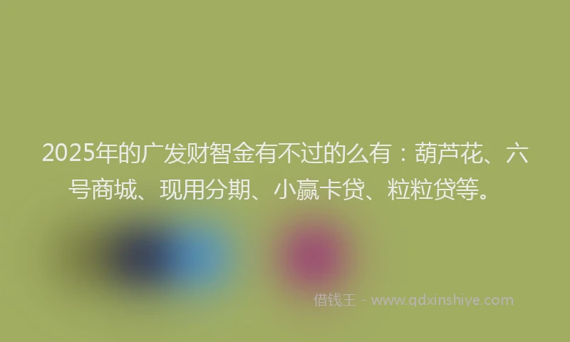 2025年的广发财智金有不过的么有：葫芦花、六号商城、现用分期、小赢卡贷、粒粒贷等。