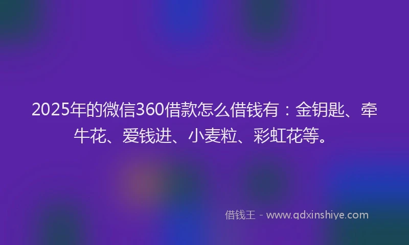 2025年的微信360借款怎么借钱有：金钥匙、牵牛花、爱钱进、小麦粒、彩虹花等。