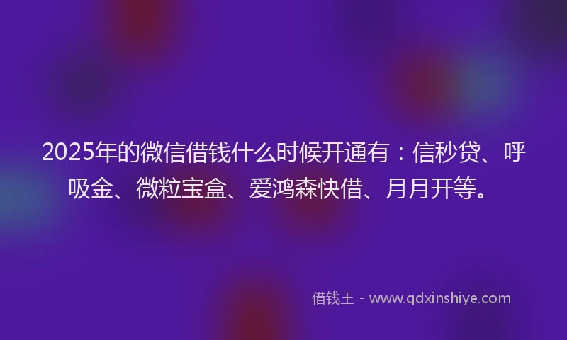 2025年的微信借钱什么时候开通有：信秒贷、呼吸金、微粒宝盒、爱鸿森快借、月月开等。