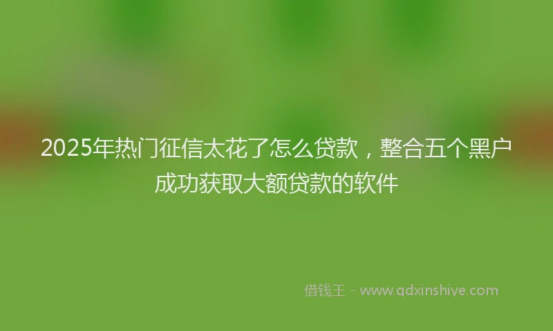 2025年热门征信太花了怎么贷款，整合五个黑户成功获取大额贷款的软件