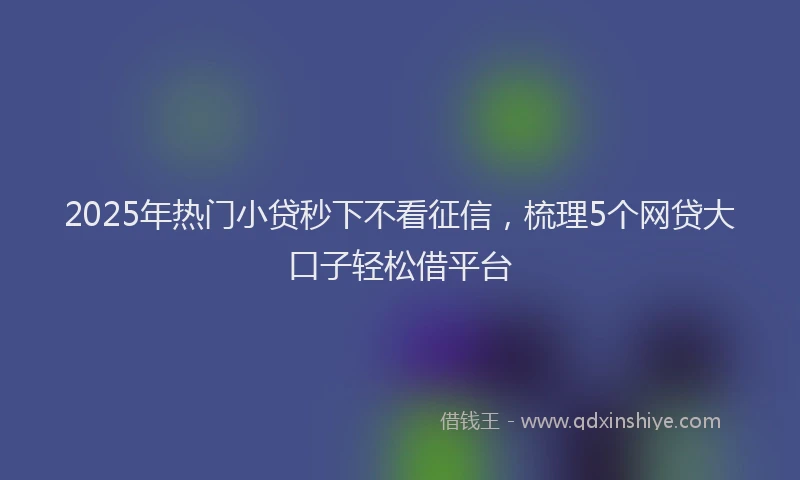 2025年热门小贷秒下不看征信，梳理5个网贷大口子轻松借平台
