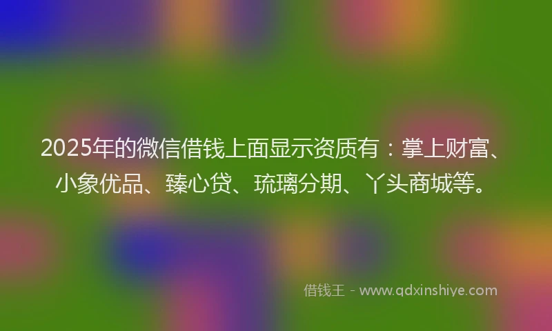 2025年的微信借钱上面显示资质有：掌上财富、小象优品、臻心贷、琉璃分期、丫头商城等。